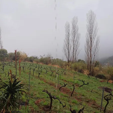 בית כפרי Cortijo El Cerrillo *