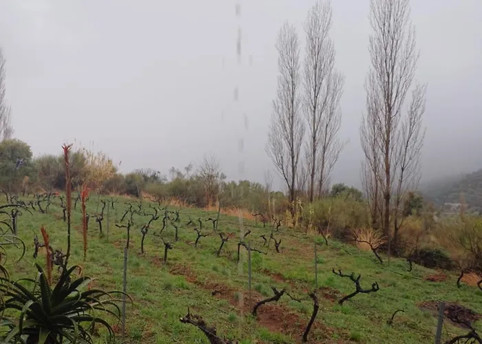 Kır Evi Cortijo El Cerrillo *